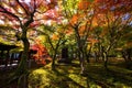 Tofuku-ji temple garden at autumn, Kyoto Royalty Free Stock Photo