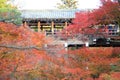 Tofukuji Temple : KYOTO - 25 Nov 2017: Crowds gather at Tofukuj