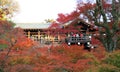 Tofukuji Temple : KYOTO - 25 Nov 2017: Crowds gather at Tofukuj