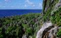 Togo Chasm, Niue Royalty Free Stock Photo