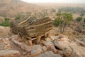 Togu-na overlooking a village in Dogon country