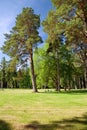 Toila, Estonia - Military Memorial Cemetery in the park Toila-Oru, Estonia, June 10, 2018 Royalty Free Stock Photo