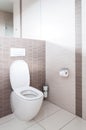 Toilet in a bathroom Royalty Free Stock Photo