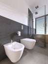 Toilet and bidet modern bathroom of scandinavian style Royalty Free Stock Photo