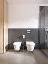 Toilet and bidet modern bathroom of scandinavian style Royalty Free Stock Photo