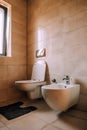 Toilet and bidet in modern bathroom