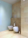 Toilet and bidet near tiled wall