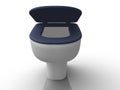 Toilet bowl