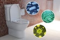 Toilet bowl with different types of bacteria, microbe and virus. Toilet hygiene infografic concept