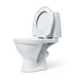 Toilet bowl isolated on white background. File contains a path to isolation. Royalty Free Stock Photo