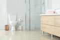 Toilet bowl near shower stall in bathroom interior