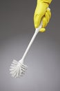 Toilet brush