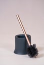Toilet Brush or commode cleaning brush and holder Royalty Free Stock Photo