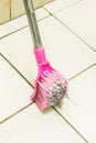 Toilet Brush, dirty brush