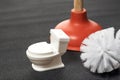 Toilet brush, small toilet bowl and plunger close up. Tools to maintain cleanliness and hygiene in the restroom