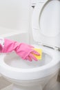 Toilet Cleaning Royalty Free Stock Photo