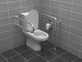 Toilet for disabled people. Equipped with grab bars. 3d rendering illustration