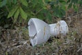 Toilet, environmental frills on the roadside