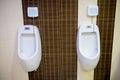 toilet men`s room.Close up row of outdoor urinals men public toilet,Closeup white urinals in men`s bathroom Royalty Free Stock Photo