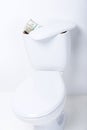 Toilet Royalty Free Stock Photo