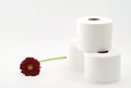 Toilet paper with flower