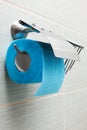Toilet paper holder Royalty Free Stock Photo