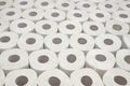 Toilet paper Royalty Free Stock Photo