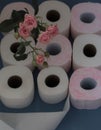 Toilet paper or , new hygiene method or old, pitcher with water wash or toilet paper Royalty Free Stock Photo