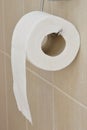 toilet paper roll Royalty Free Stock Photo