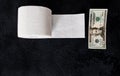 Toilet paper roll with dollar banknotes Royalty Free Stock Photo