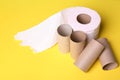 Toilet paper roll and empty tubes Royalty Free Stock Photo