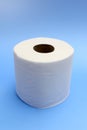 Toilet Paper Royalty Free Stock Photo