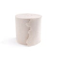 Toilet paper roll isolated on a white background