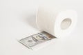 Toilet paper roll of money one hundred dollar Royalty Free Stock Photo