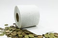 toilet paper roll and a pile of euro coins Royalty Free Stock Photo