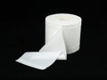 White toilet paper roll on black background Royalty Free Stock Photo