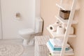 Toilet paper rolls on shelving unit in bathroom