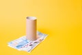 A toilet paper sleeve stands on three banknotes of different countries, euro, dollar, rubles Royalty Free Stock Photo