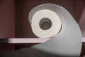 Toilet paper spiral from the roll on pink shelf.