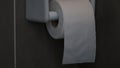 Toilet paper, white circular roll in the four, put beside the wall in the bathroom. The picture has some clarity