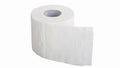 Toilet paper Royalty Free Stock Photo