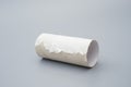 Toilet roll with the last bit of tissue Royalty Free Stock Photo