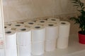 Toilet roll stock piled in home bathroom. Panic buying concept background. Blur shallow focus