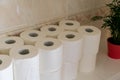 Toilet roll stock piled in home bathroom. Panic buying concept background. Blur shallow focus