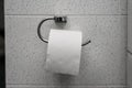 Toilet roll, the symbol of herd mentality