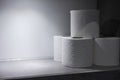 Toilet rolls in a recess in the wall with top lighting close up Royalty Free Stock Photo