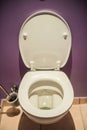 Toilet seat Royalty Free Stock Photo
