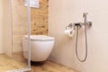 toilet and shower for bidet in the bathroom with ceramic tiles in natural colors Royalty Free Stock Photo