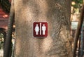 Toilet sign for male and female attached to big tree using nails at corners in a public nature park Royalty Free Stock Photo