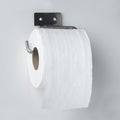 Toilet tissue roll on a holder